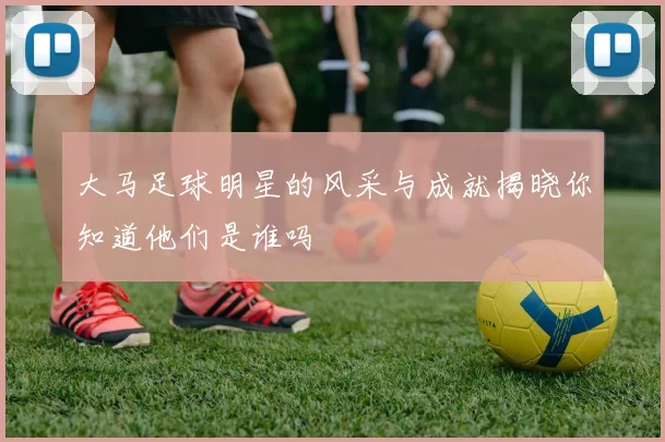 大马足球明星的风采与成就揭晓你知道他们是谁吗
