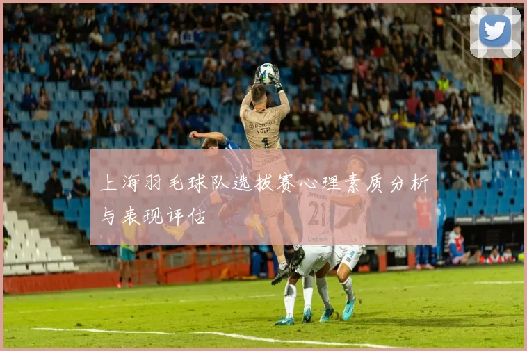 上海羽毛球队选拔赛心理素质分析与表现评估