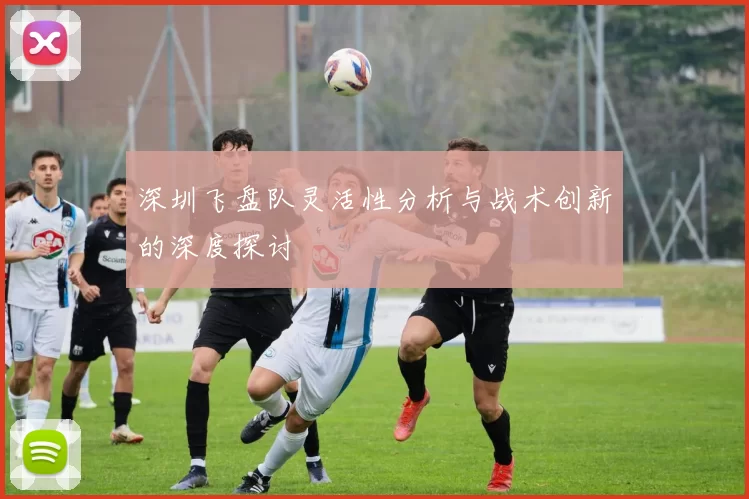 深圳飞盘队灵活性分析与战术创新的深度探讨