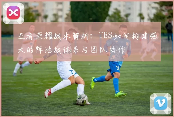 王者荣耀战术解析：TES如何构建强大的阵地战体系与团队协作