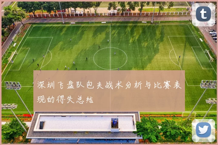 深圳飞盘队包夹战术分析与比赛表现的得失总结