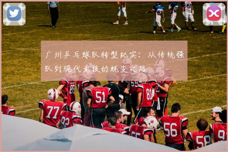 广州乒乓球队转型纪实：从传统强队到现代竞技的蜕变之路