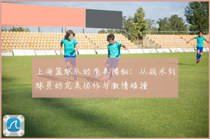 上海篮球队的节奏揭秘：从战术到球员的完美协作与激情碰撞