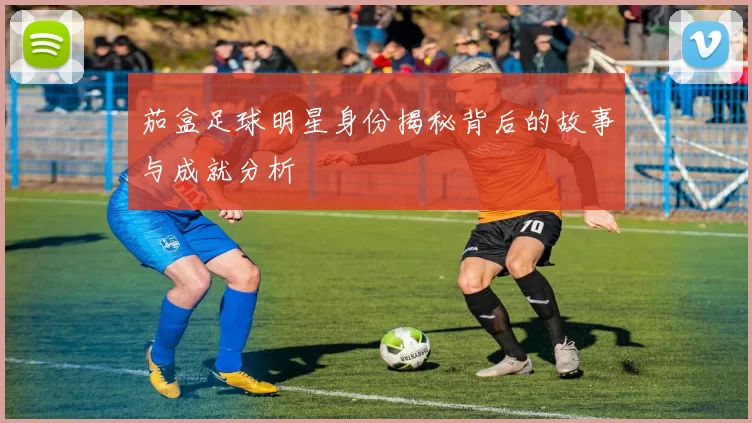 茄盒足球明星身份揭秘背后的故事与成就分析