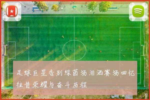 足球巨星告别绿茵场泪洒赛场回忆往昔荣耀与奋斗历程