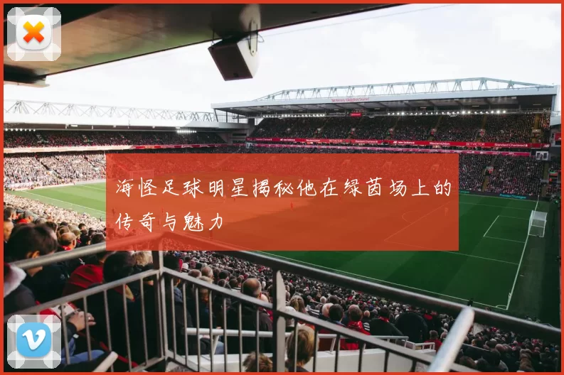 海怪足球明星揭秘他在绿茵场上的传奇与魅力