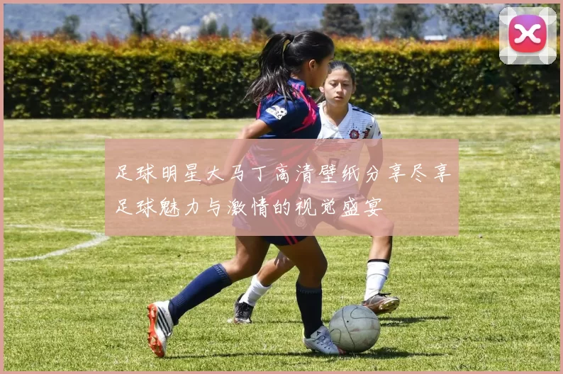 足球明星大马丁高清壁纸分享尽享足球魅力与激情的视觉盛宴