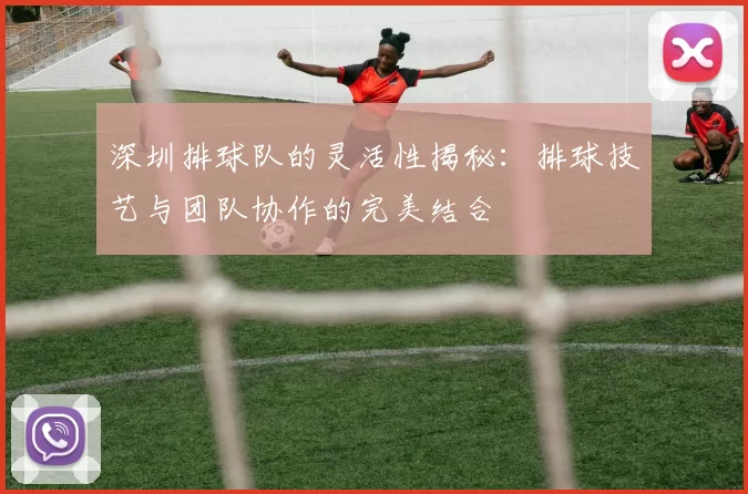 深圳排球队的灵活性揭秘：排球技艺与团队协作的完美结合
