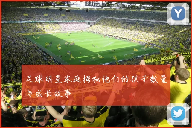 足球明星家庭揭秘他们的孩子数量与成长故事