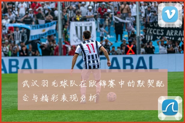 武汉羽毛球队在欧锦赛中的默契配合与精彩表现分析
