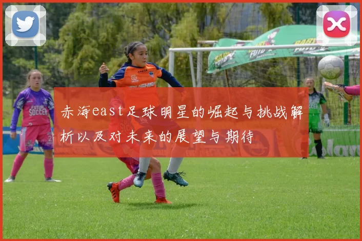 赤海east足球明星的崛起与挑战解析以及对未来的展望与期待