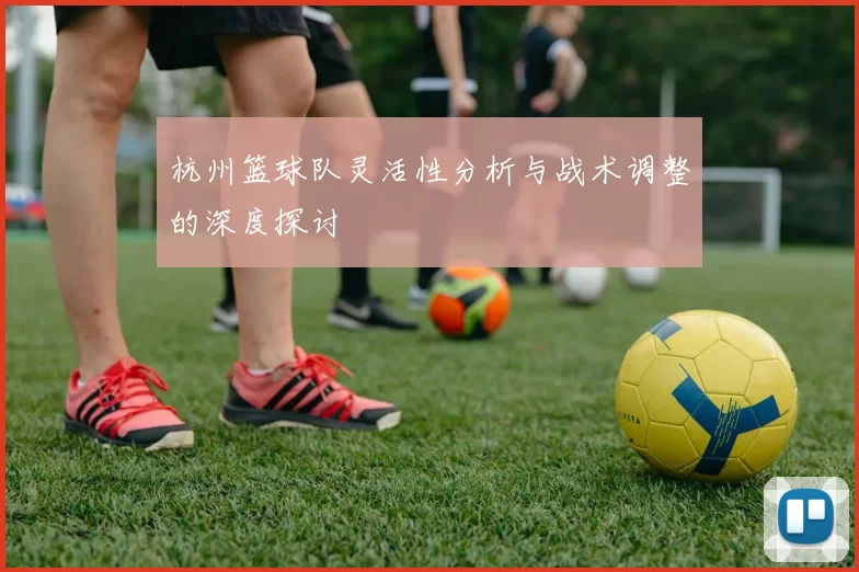 杭州篮球队灵活性分析与战术调整的深度探讨