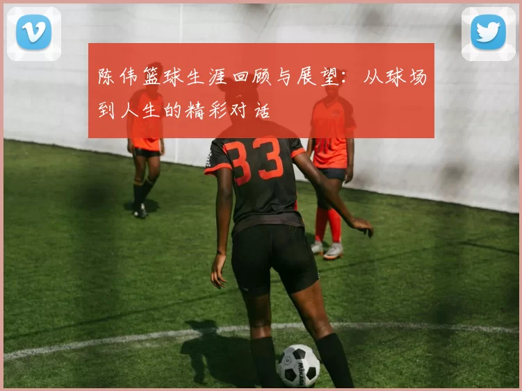 陈伟篮球生涯回顾与展望：从球场到人生的精彩对话