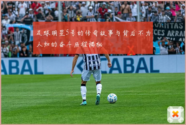 足球明星5号的传奇故事与背后不为人知的奋斗历程揭秘