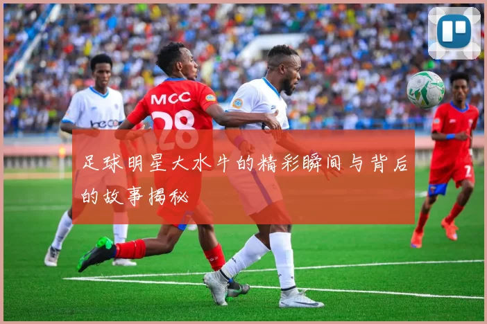 足球明星大水牛的精彩瞬间与背后的故事揭秘