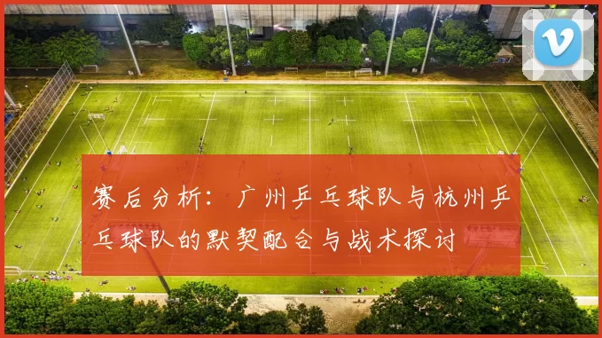 赛后分析：广州乒乓球队与杭州乒乓球队的默契配合与战术探讨