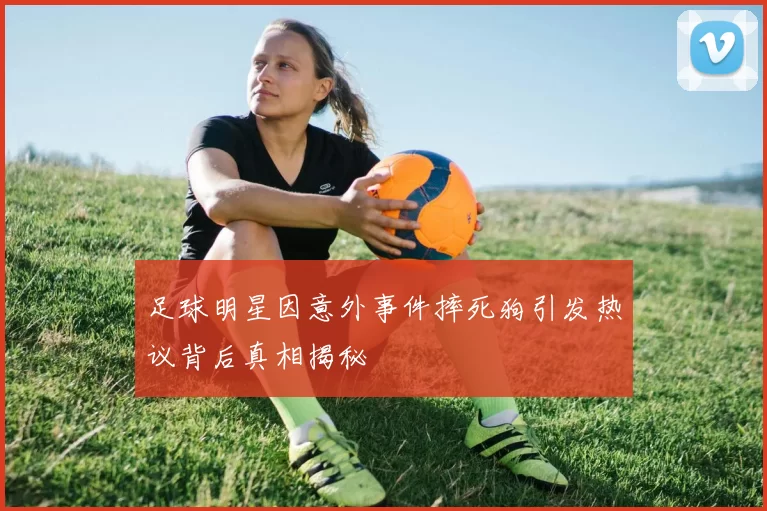 足球明星因意外事件摔死狗引发热议背后真相揭秘