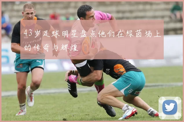 43岁足球明星盘点他们在绿茵场上的传奇与辉煌