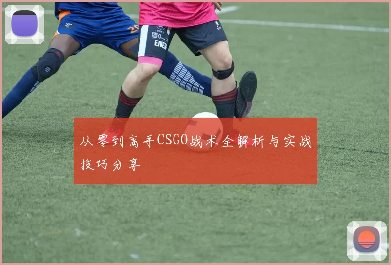 从零到高手CSGO战术全解析与实战技巧分享