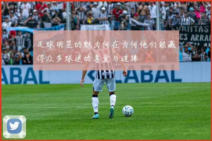 足球明星的魅力何在为何他们能赢得众多球迷的喜爱与追捧