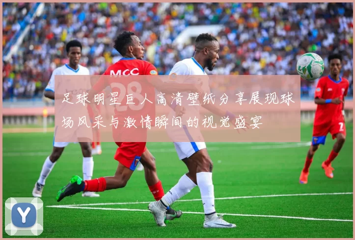 足球明星巨人高清壁纸分享展现球场风采与激情瞬间的视觉盛宴