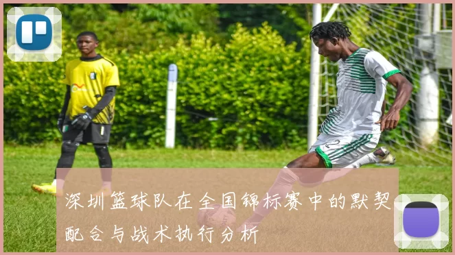 深圳篮球队在全国锦标赛中的默契配合与战术执行分析