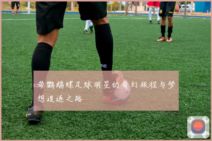 带鹦鹉螺足球明星的奇幻旅程与梦想追逐之路